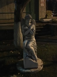 angel / ***