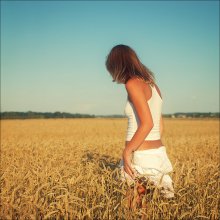 Sommer / ***