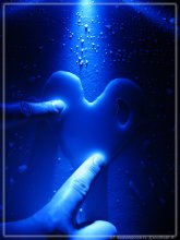 Heart / ***