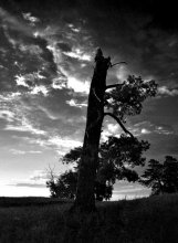 After the Storm / ***