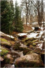 Creek / ***