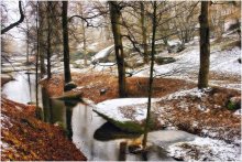 Winter Day / ***