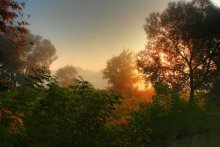 Photos for the soul. Hazy sunny morning / HDRi