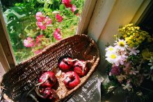 at the cottage in summer / ******