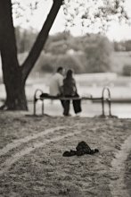 ... Romance ... / ***