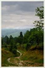 Going down the track ... / .........
