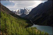 Altay Pearl / ***