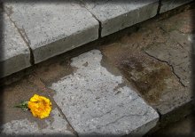what forgotten / ***