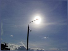 single contrast / ***
