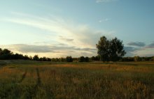 Magic Meadow / ***