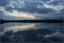 The symmetry of nature / ***
