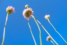 In the sky / ***