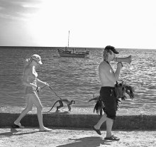 Walk / ***