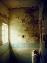In the venomous room ... / ***