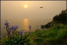 Sunny Bay / ***