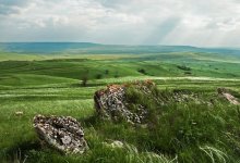 Steppe. North Caucasus. / ***