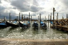 Venice / ***