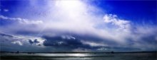 Ultramarine flood / ***