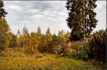 Rural landscape. / ***