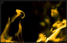 * Portrait of the fiery cat and her mistress * / ***