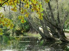 Boldino Herbst * / *****