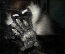 palmistry / -----