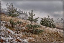 An der Schwelle zum Winter / ***