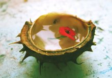 Autumn Still Life / ***