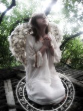 Something heavenly / ***