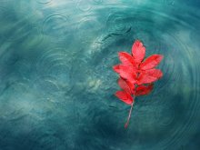 Fire and water / ========