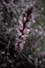 Postkarte Herbst / *******