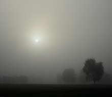 Twilight Sun / ***
