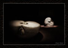 Two halves of a whole .... / ***