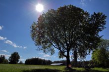 under the sun / ***