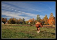 Rural motive / ***