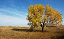 Autumn in Divnogorie / ***