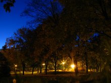 Autumn has come to my city ... / ***