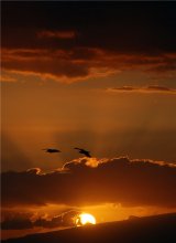 Sunset with two unknowns / ***