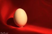Still life / ***