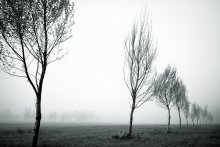 Time when the fog is always / ***
