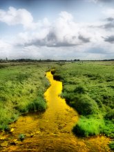 Gold River Ala / ***