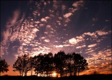 magic sunset / ***