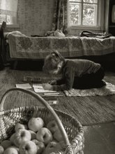 One day in autumn / *****
