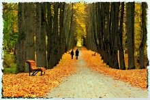 Fall Double / ***