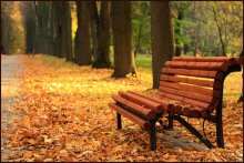 in the park / ****