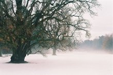 Park / ***