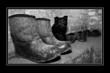 In Cloche is galoshes ... / ***