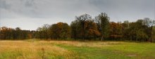 Road im Herbst Wald. Oder von den herbstlichen Wald. / ***