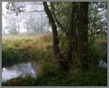 Nebligen Morgen / ***