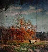 Herbst / ***********
